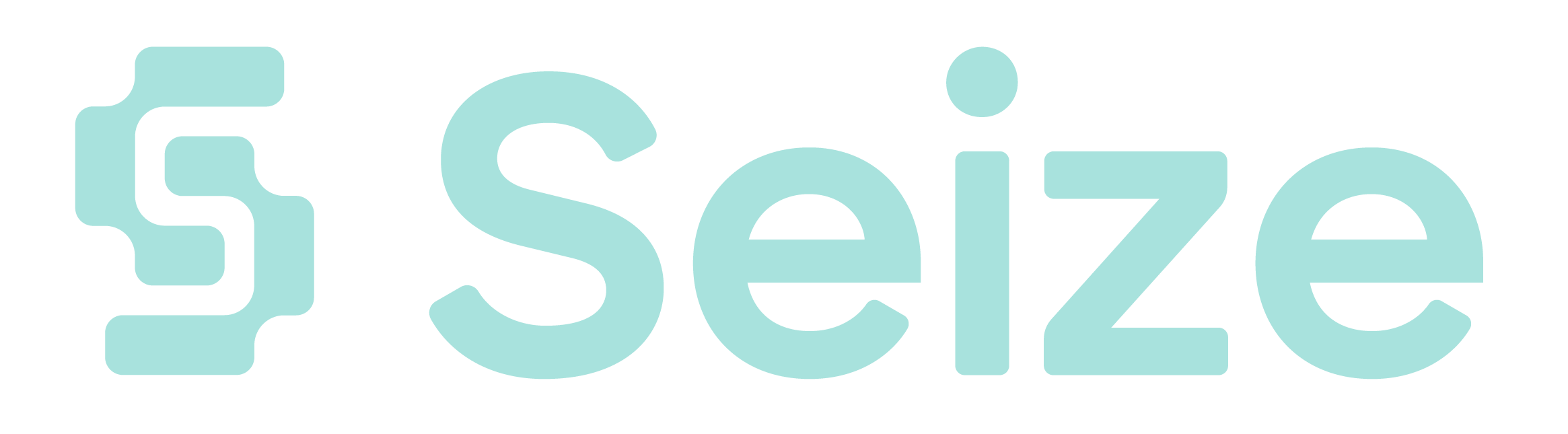 Seize Consulting